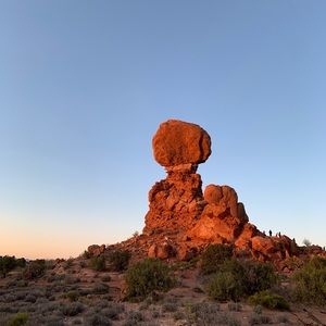 Meet your Posher, Benjamin